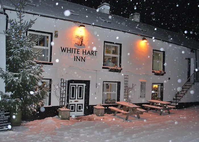 Inn White Hart 3*